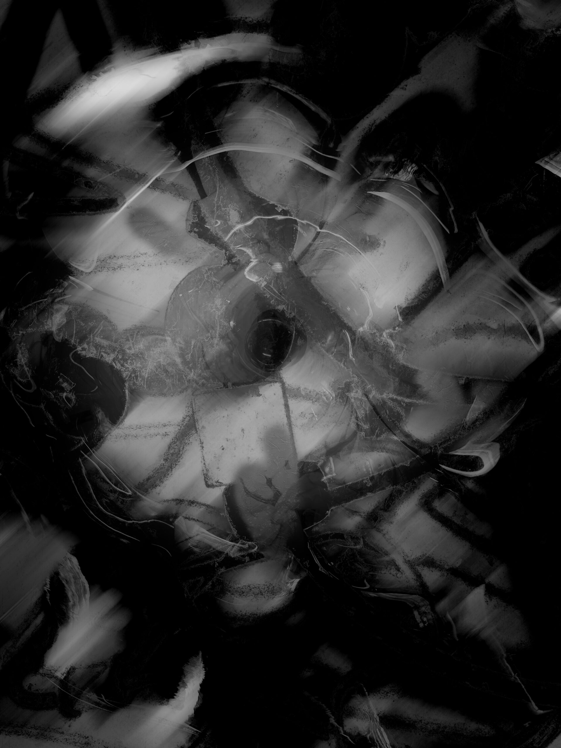 Black and White Flower Abstract Art