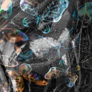 Butterfly Art