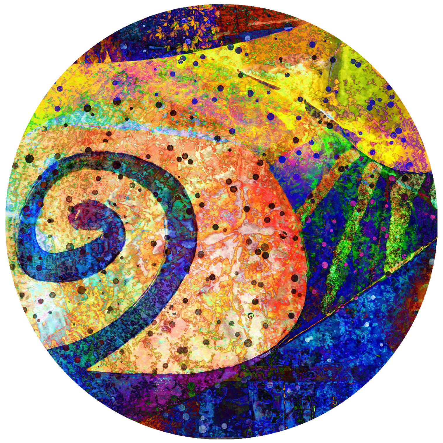 Organic Rhythms