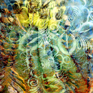 Cabo Art